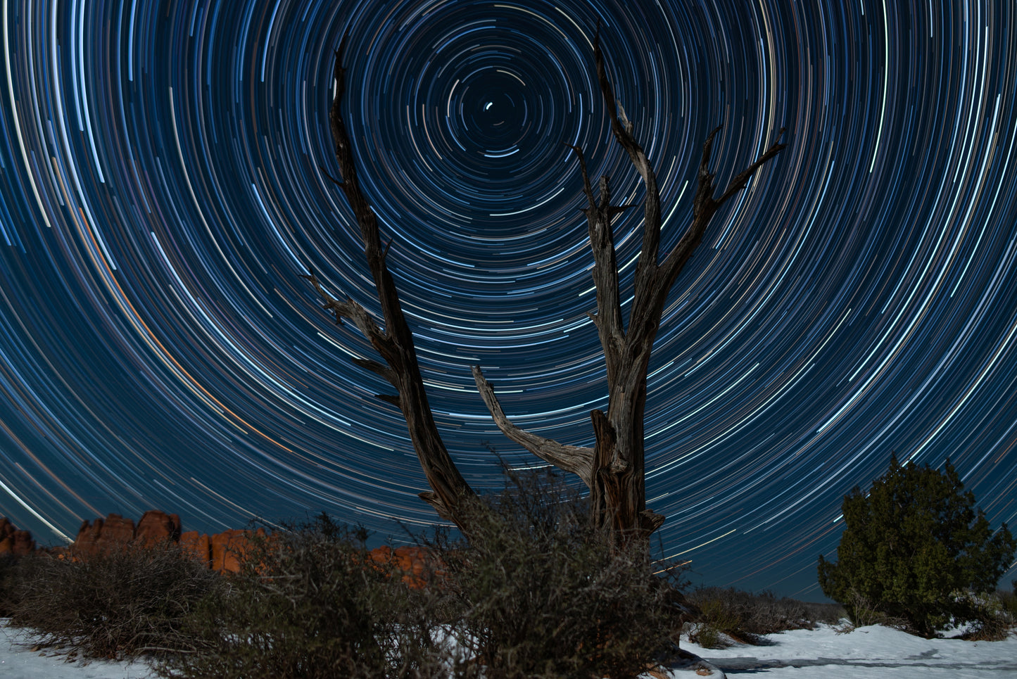 Juniper Star Trails
