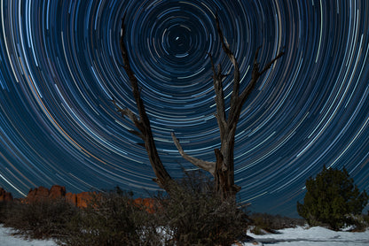 Juniper Star Trails