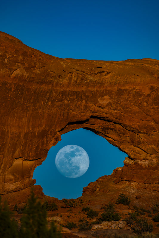 Arch and Moon - Canvas Print